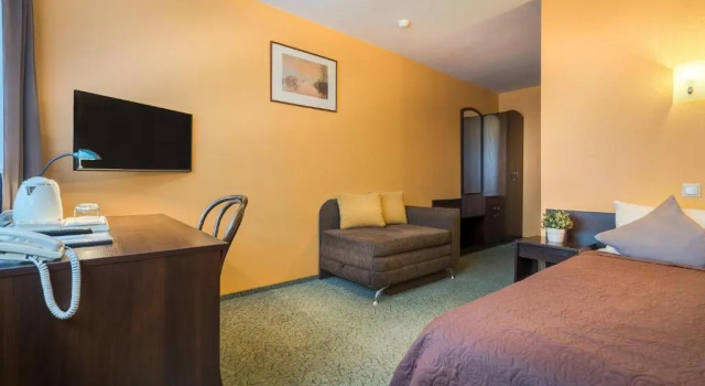 Standardní Jednolůžkový pokoj Hotel Zemaites
