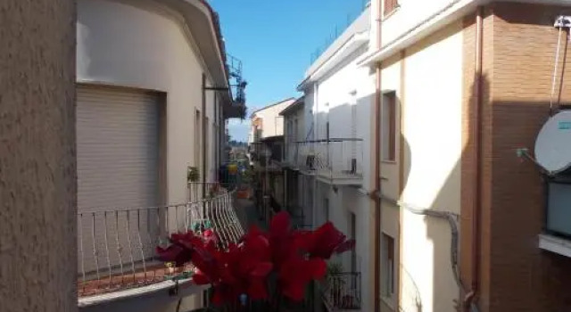 Vico 59