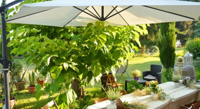 Коттедж Bed & Tours Dimora di campagna