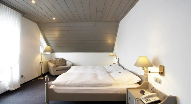 Двухместный номер Standard Hotel Goldener Stern