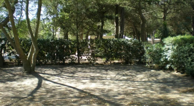 Номер Standard Camping Le Sainte Marie