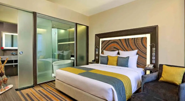 Люкс Premier Novotel Kolkata Hotel and Residences