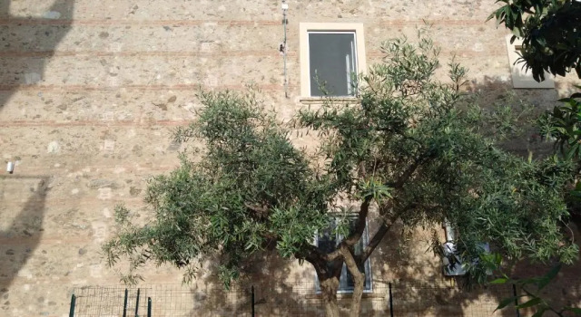 Santos House, Book Hotel Vibo Valentia Calabria