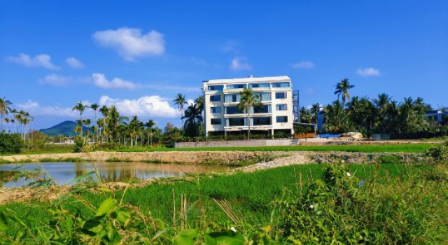 Zhuri Island Coconut Grove View Holiday Homestay, Book Bed and Breakfast Sanya Hainan