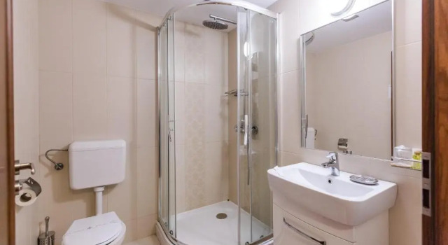 Двухместный номер Business Hotel Herastrau