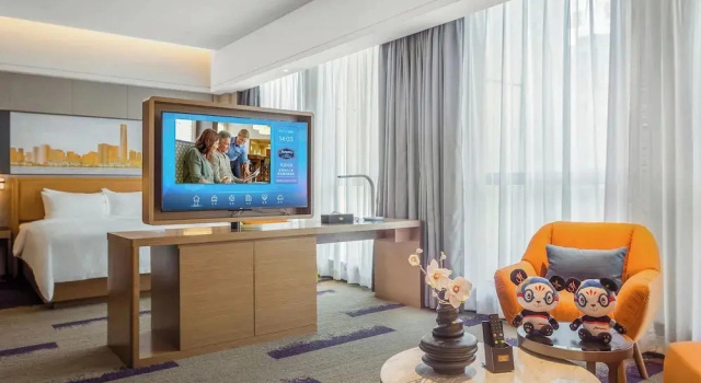 Одноместный люкс Standard Hampton by Hilton Dongguan Central Plaza