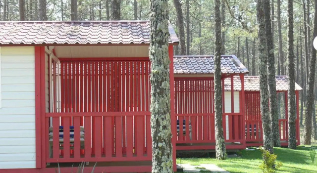 Бунгало c 1 комнатой Parque De Campismo Orbitur Sao Pedro De Moel