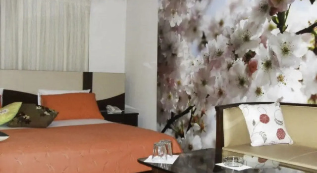 Standard Yhden hengen huone Asaish Guest House