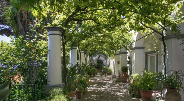 Superior Zimmer Elisir B&B