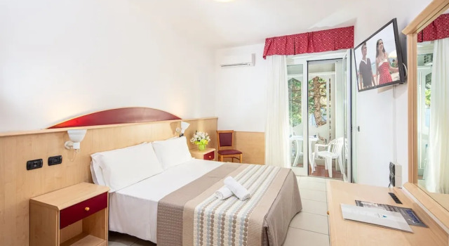 Двухместный номер Comfort с балконом Hotel Regina