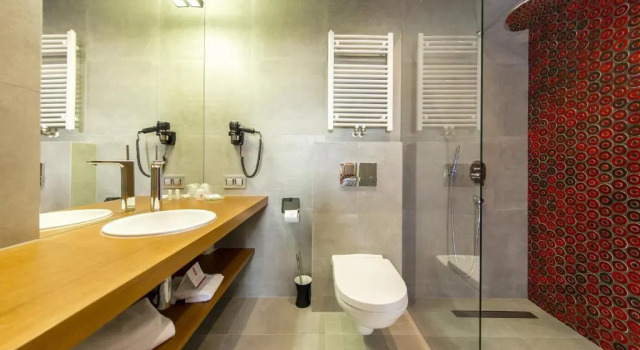Двухместный номер Standard Hotel Kopieniec Fizjo- Med & SPA