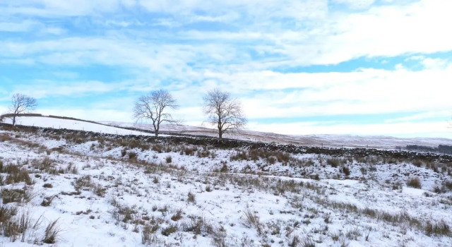 Ploughgate