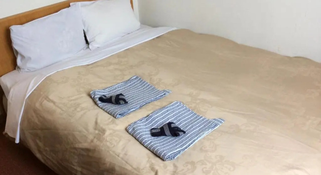 Двухместный номер Economy Hotel New Yutaka
