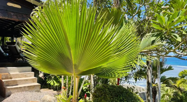 Студия Standard Chalets Bougainville