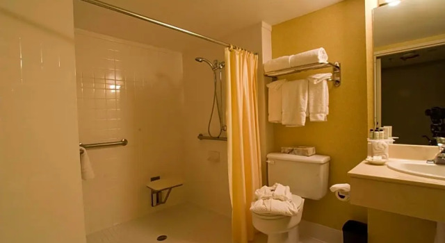 Двухместный люкс для гостей с ограниченными возможностями передвижения c 1 комнатой Doubletree by Hilton McAllen
