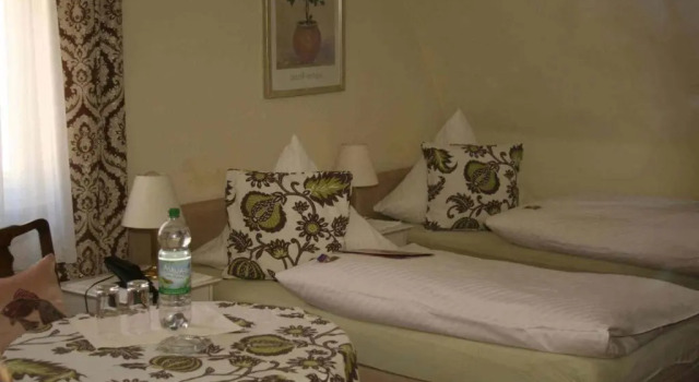 Двухместный номер Standard Hotel-Pension Adler Untertürkheim