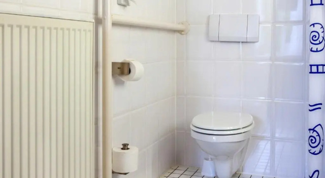 Двухместный номер Standard Hotel ZweiLinden Meckenheim Bonn