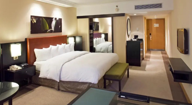 Двухместный номер Deluxe Hilton Buenos Aires