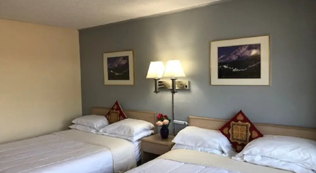 Четырёхместный номер Premium Pine Needles Inn
