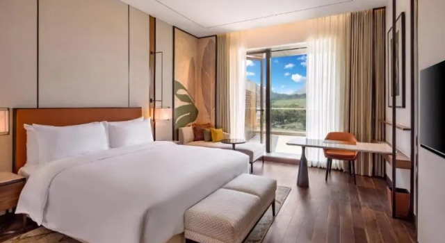 Номер Standard Radisson Blu Hotel & Spa, Nashik