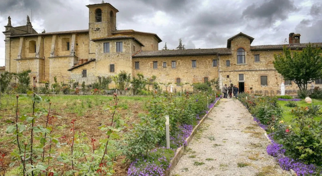 Agriturismo Casa Greppo - Il Mandorlo, Varaa Maatalousloma San Venanzo Umbria