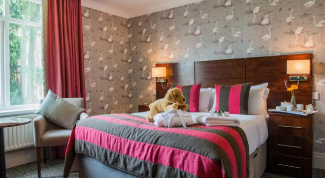 Номер Standard The Coed-Y-Mwstwr Hotel