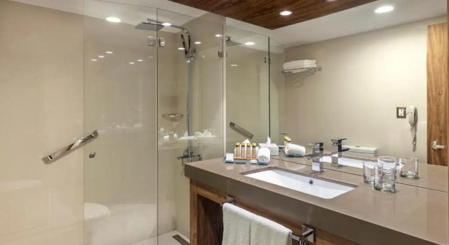 Двухместный номер Deluxe Hotel Regal Pacific Santiago
