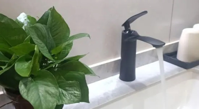 Xinyi Homestay, Rezerwuj Hotel Lishui Zhejiang
