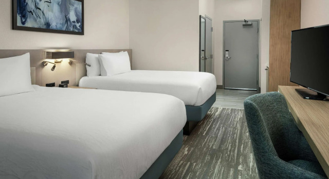 Четырёхместный номер Standard Hilton Garden Inn Olive Branch, Ms