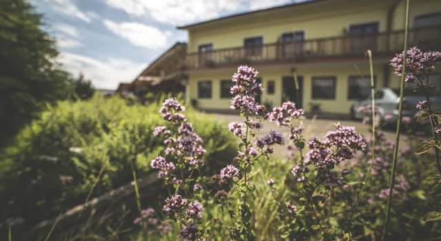 Hotel Racek