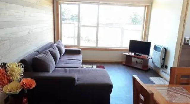 Cabañas Sur Patagón, Reservar Hotel Puerto Varas 