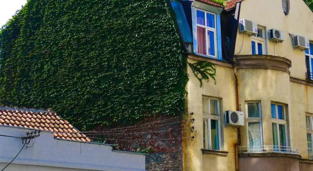 Chillton Hostel