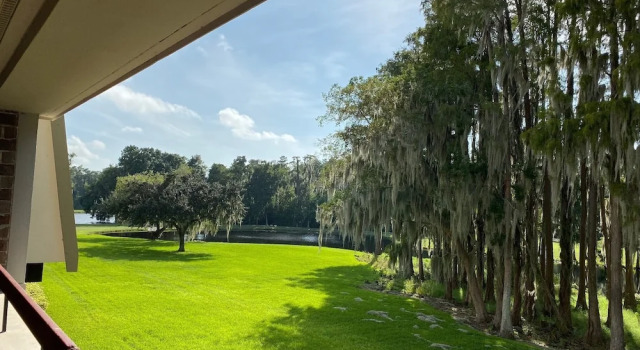 Полулюкс Innisbrook Resort