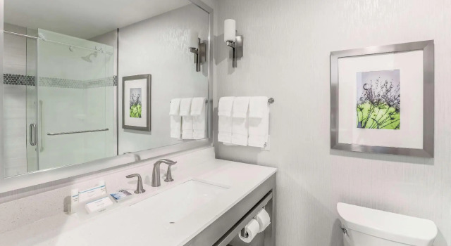 Двухместный номер Standard Hilton Garden Inn Ardmore
