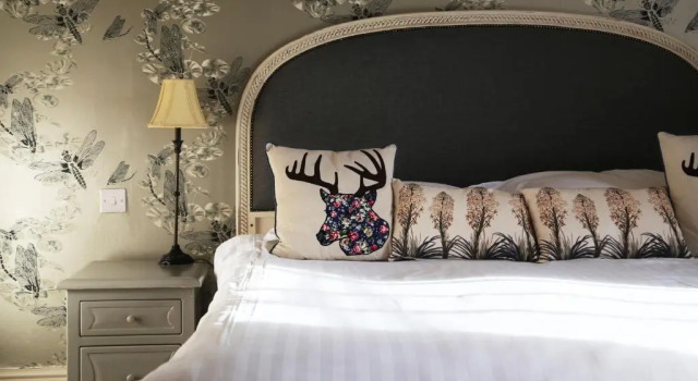 Номер Comfort The Kings Head