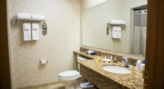 Номер Standard Mineral Palace Hotel & Gaming