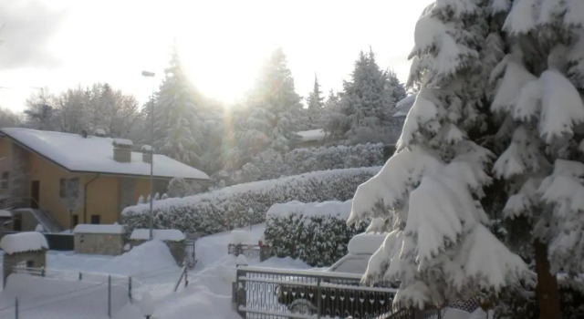Апартаменты B&B Serra Pineta