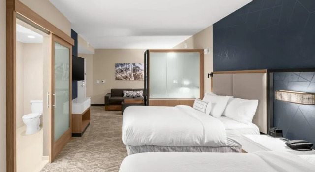 Vierer Studio SpringHill Suites by Marriott Jackson