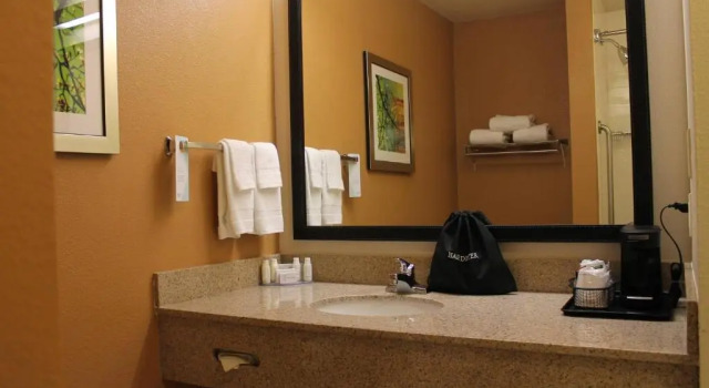Номер Standard Fairfield by Marriott Frankfort
