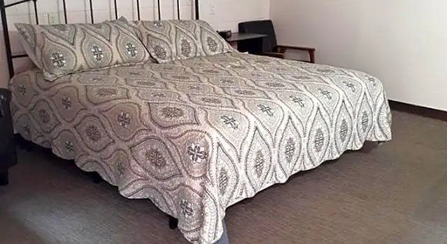 Студия Deluxe Yellowstone Motel