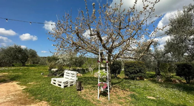 Standard Studio Trulli Barsento