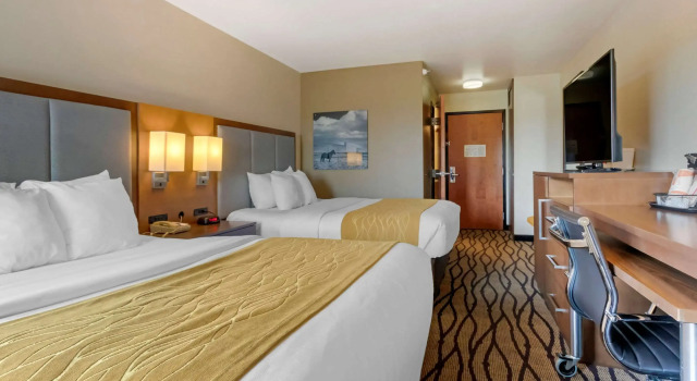 Четырёхместный номер Standard Comfort Inn & Suites Market - Airport
