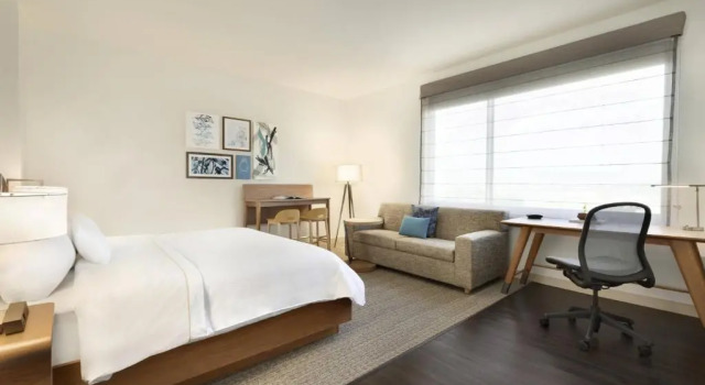 Двухместный номер Standard с видом на бассейн Element by Marriott Dallas Love Field