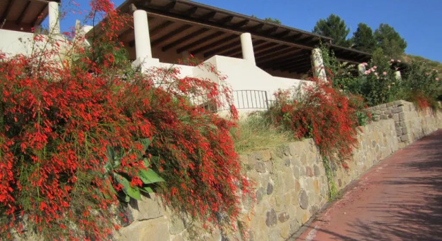 Апартаменты Case Vacanze Valle