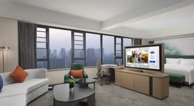 Люкс Hampton by Hilton Wuhan Huashiyuan North Road