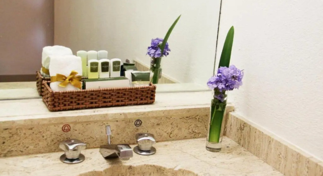 Двухместный номер Standard Hotel Misión Grand Juriquilla