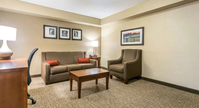 Двухместный люкс Comfort Inn & Suites Lexington - Hamburg I-75
