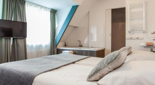 Люкс Hotel van Renenpark