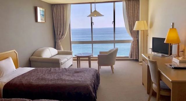 Двухместный номер Standard Hotel Shiroitodai