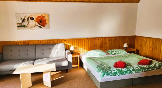Номер Standard Apartment Ulrich